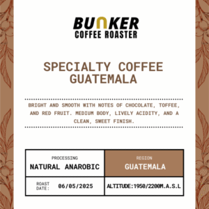 specialty coffee guatemala